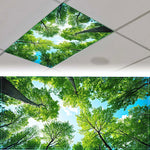 cache lumiere moderne nuages feuilles étoiles coraux adhésif bleu blanc vert noir