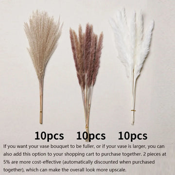 décoration maison bouquet dried flowers naturelles pampas beige rustique vase
