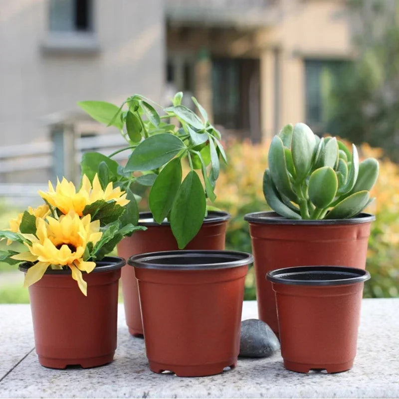 pots fleurs plastique orange noir modernes jardins plantes succulentes petits conteneurs jardinage semis fleurs