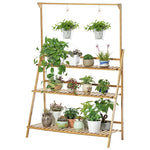 étagère plantes moderne bois naturel pots multicolores fixations grille tailles