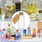 bouteilles verre transparentes bouchons liège cristaux pinceaux rubans fleurs séchées animaux plastique