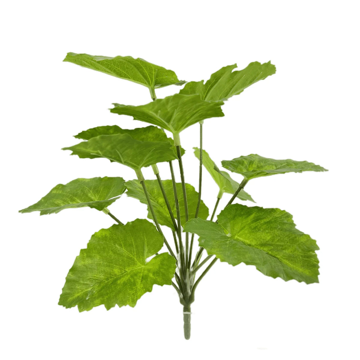 plante artificielle décorative feuilles vertes blanches rouges salon maison moderne naturel