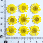 fleurs séchées multicolores bijoux résine décoration ongles maison intérieure artisanal anniversaire naturelles