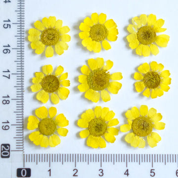 fleurs séchées multicolores bijoux résine décoration ongles maison intérieure artisanal anniversaire naturelles