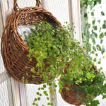 panier suspendu marron clair tressé rustique plante artificielle mur maisonDecoration