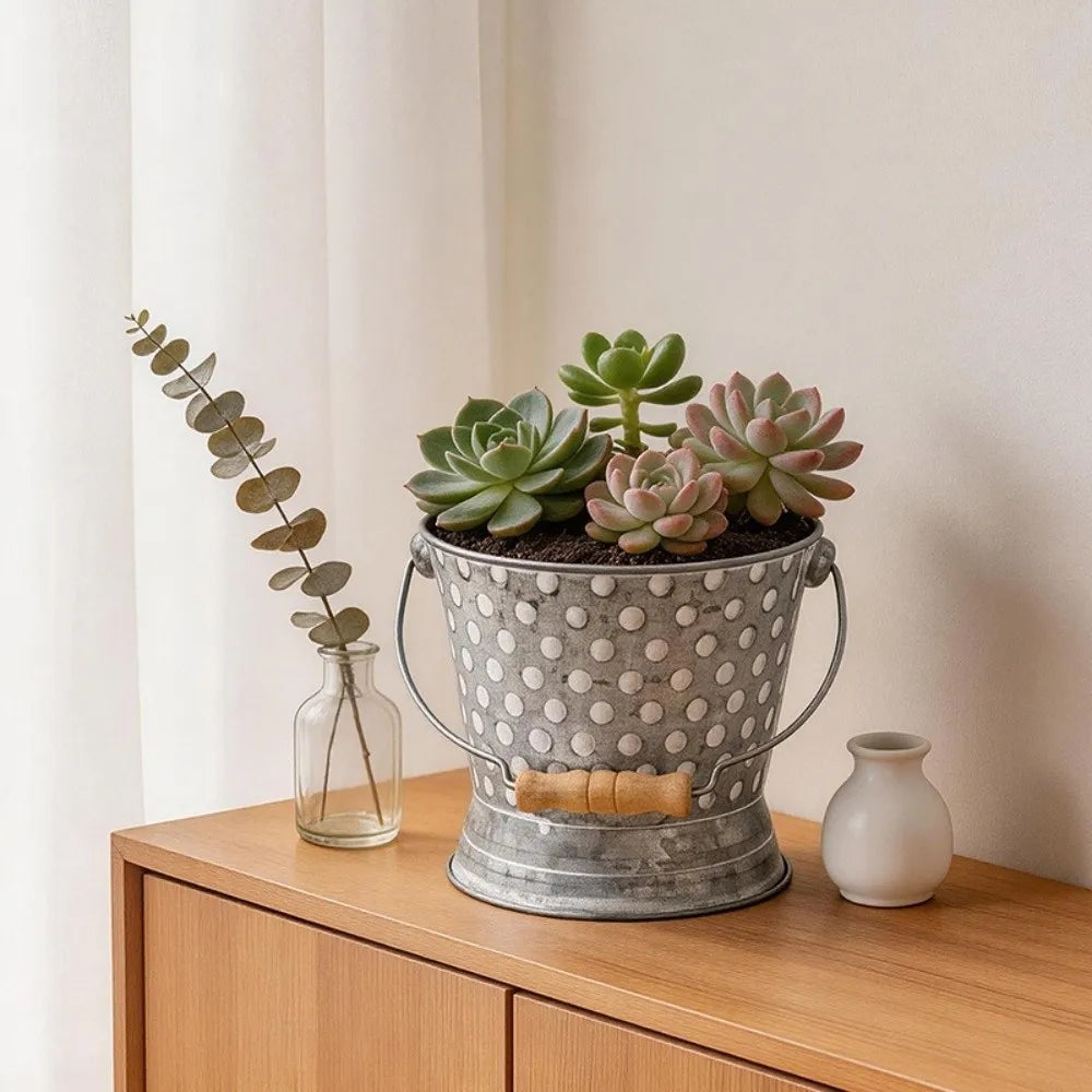 seau decoratif rustique succulentes transparents vase verre fleurs blanches textures vieillies