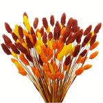 fleurs séchées naturelles bouquet orange jaune décoration maison anniversaire mariage festive bohème