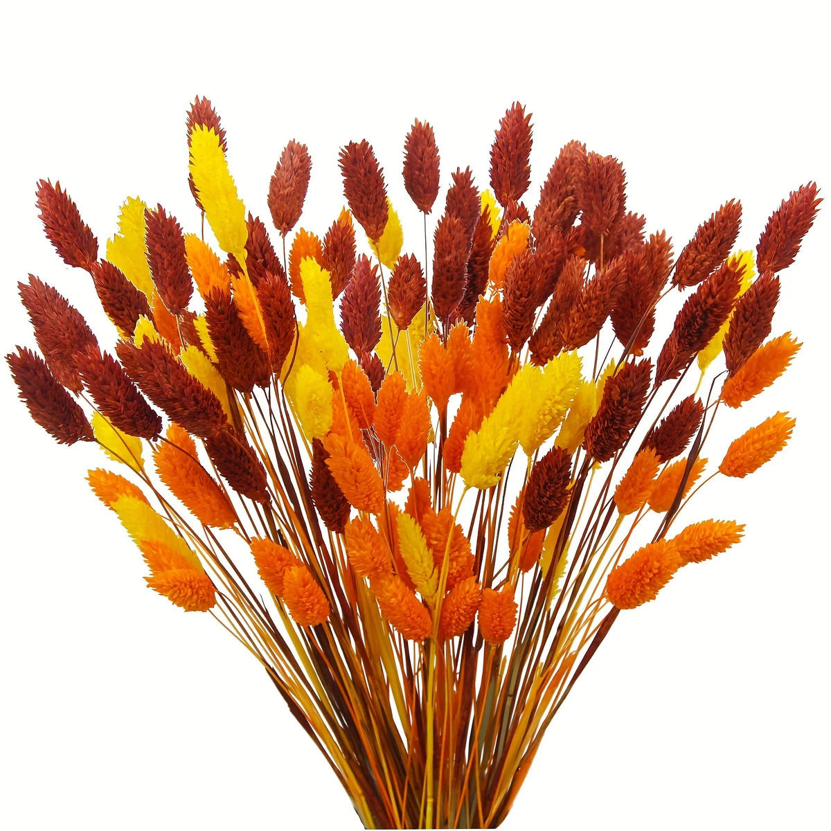 fleurs séchées naturelles bouquet orange jaune décoration maison anniversaire mariage festive bohème