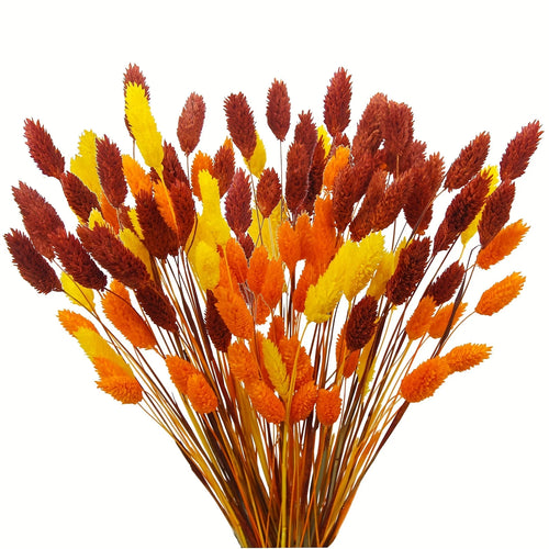 fleurs séchées naturelles bouquet orange jaune décoration maison anniversaire mariage festive bohème