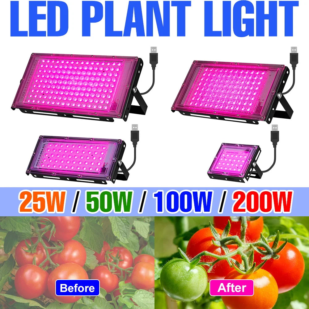 lampe led plante violet noir usb cable 50w 24leds 144leds moderne