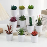 Décoration végétale succulente bonsaï en gris clair pour baby shower