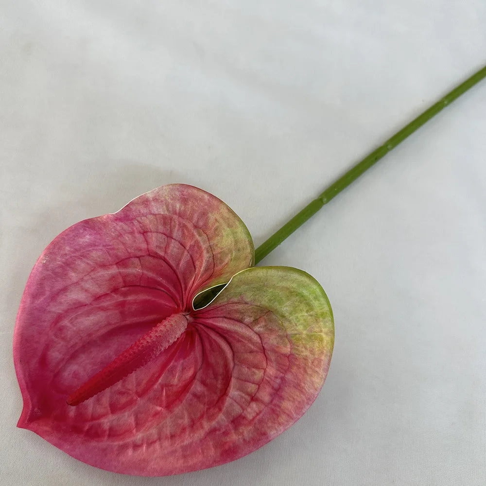 fleurs artificielles anthurium modernes multiple couleurs intérieur décoration mariage événements