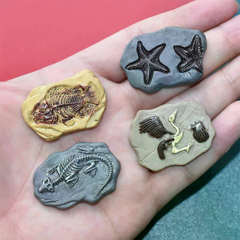fossiles dinosaures plaques résine oiseau poisson reptile ornements maison gris beige noir realism