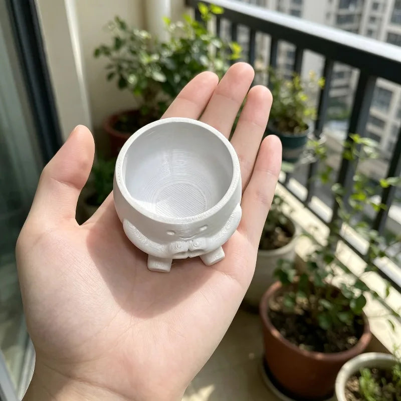 pots fleurs forme cœur blanc plante verte peperomia aspect texturé 3d mignon ludiqueintérieur maison