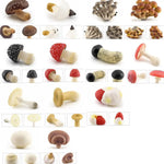 champignons décoratifs résine marron rouge lisses réels jardin decoration pointillés adultes