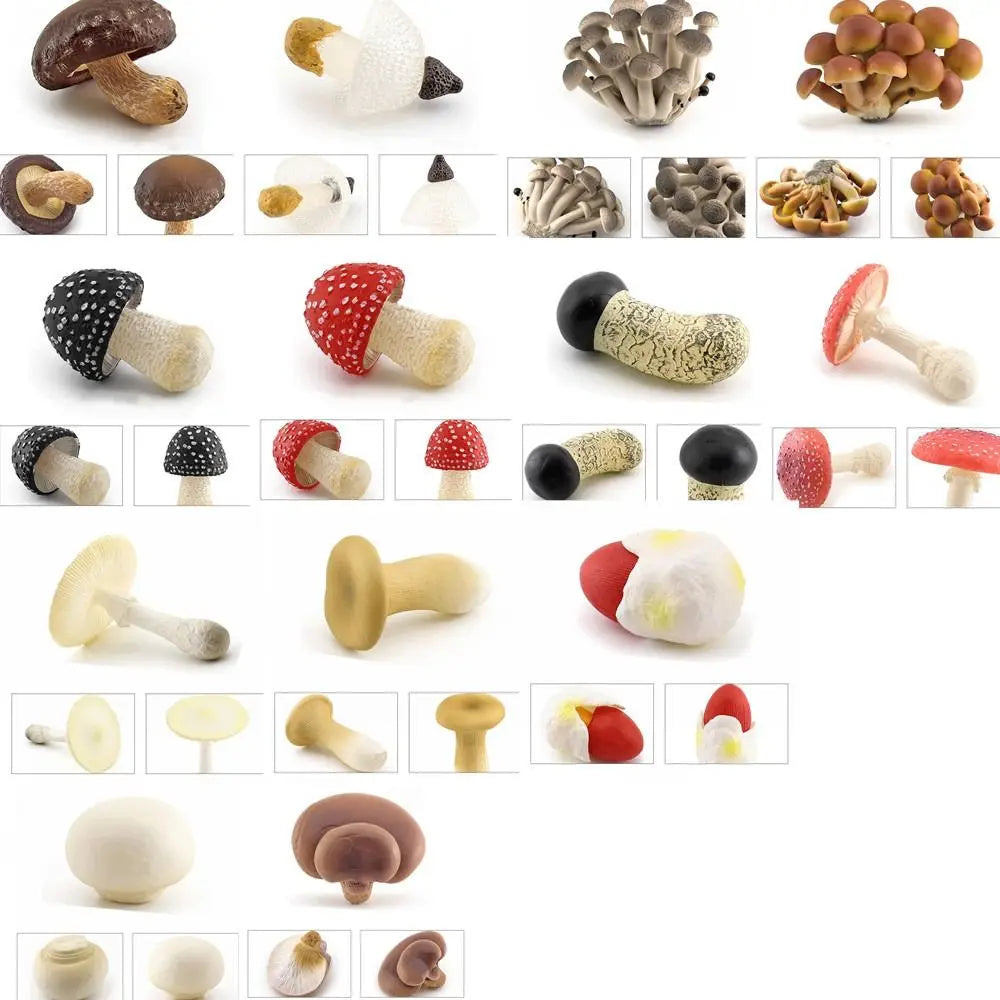 champignons décoratifs résine marron rouge lisses réels jardin decoration pointillés adultes