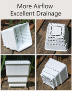 pots plantes plastique moderne blanc cactus succulents lithops drainage decoration maison