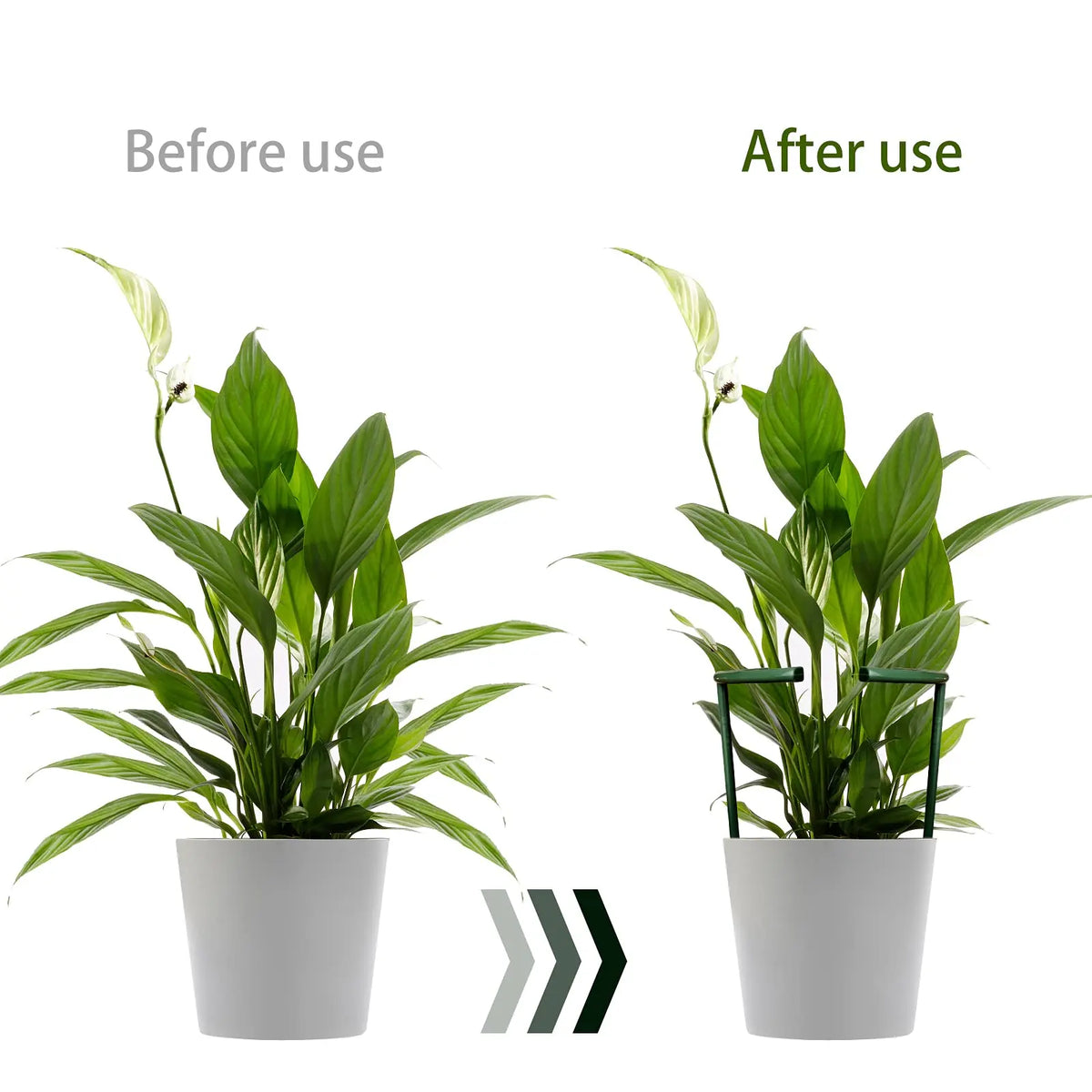 Support plante noir plastique moderne 16cm 27cm eyeletsintérieur fleur fixe
