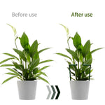 Support plante noir plastique moderne 16cm 27cm eyeletsintérieur fleur fixe