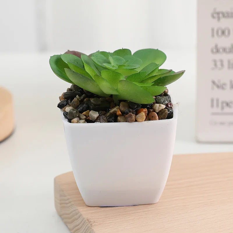 plantes succulentes artificielles vert rouge marron moderne minimaliste intérieur décoration maison