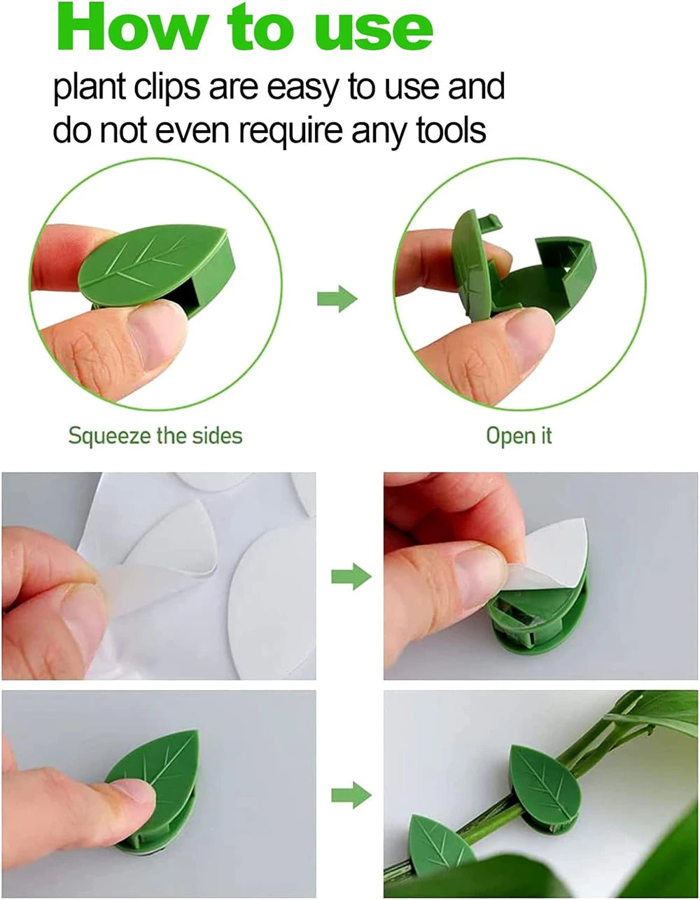pinces plantes adhésives vertes feuilles imprimées modernes support mur invisible 10 20 50 pièces