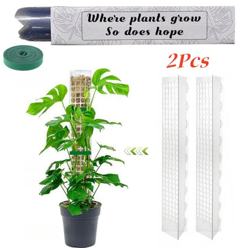 poteau mousse transparent moderne grille support plantes intérieures croissance tutoriel mousse