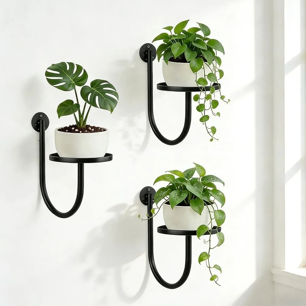 support mural métal noir étagère plantes suspendues industriel minimaliste decoration trousseau pots blancs plantes