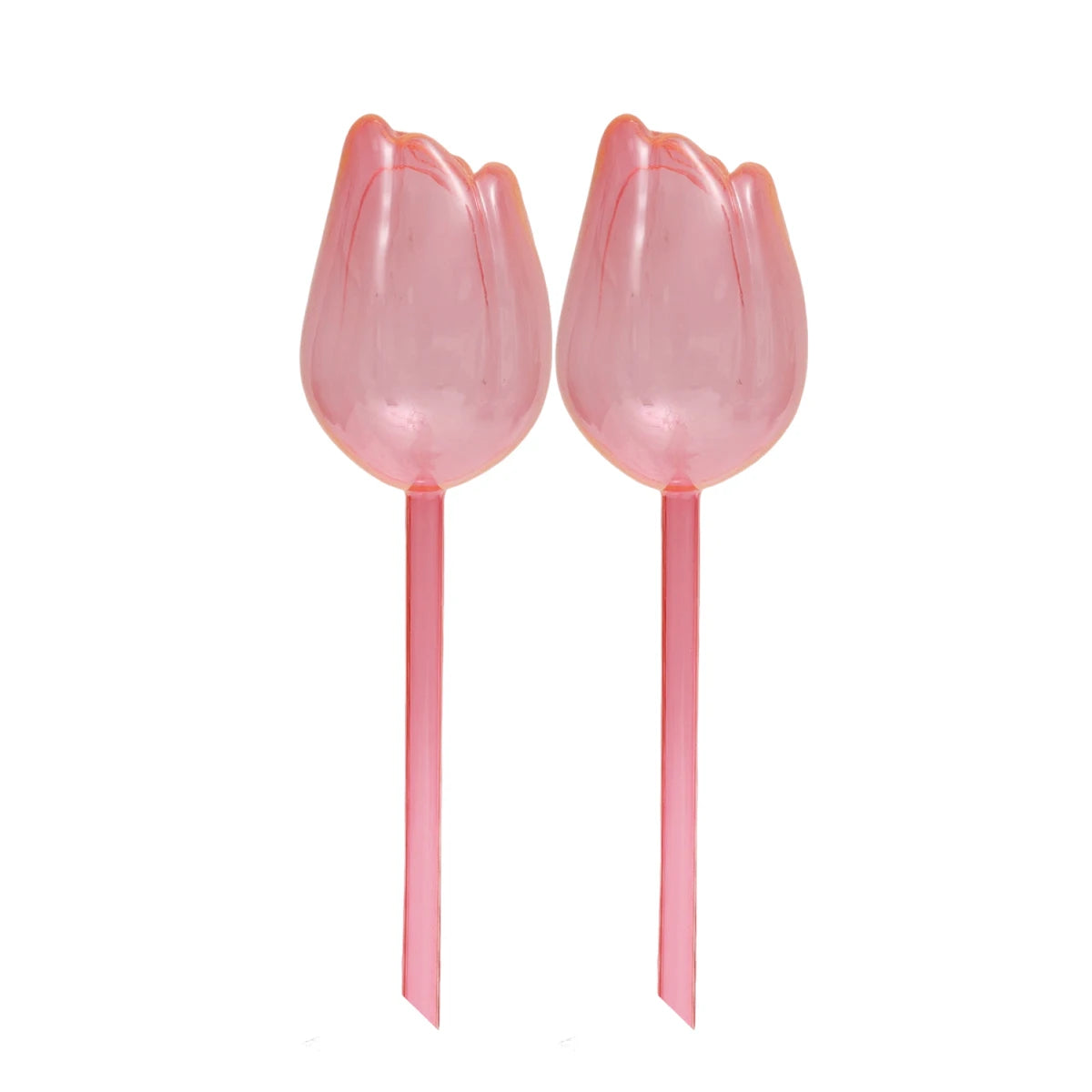pique plantes tulipe plastique rose violet blanc translucide moderne adhésif kit arrosage