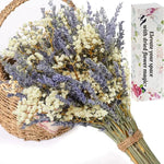 bouquet fleurs séchées pampa plumes fines beige blanc rose pâle naturel rustique clips decoration