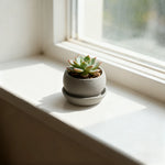 pots fleurs succulentes moderne plastique gris texturé drainage 1set maison