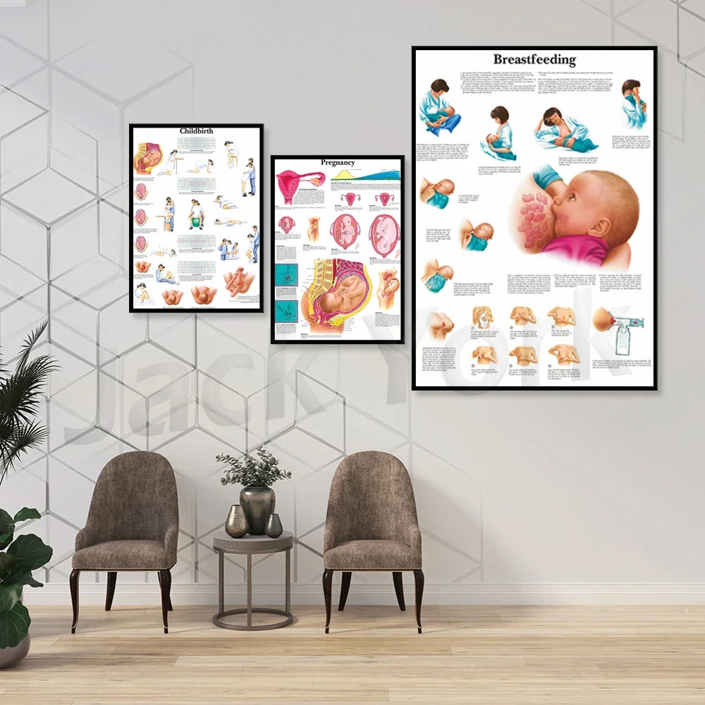 Trois affiches éducatives représentant le processus de la grossesse, de l'accouchement et de l'allaitement sont affichées sur un mur dans un intérieur moderne.