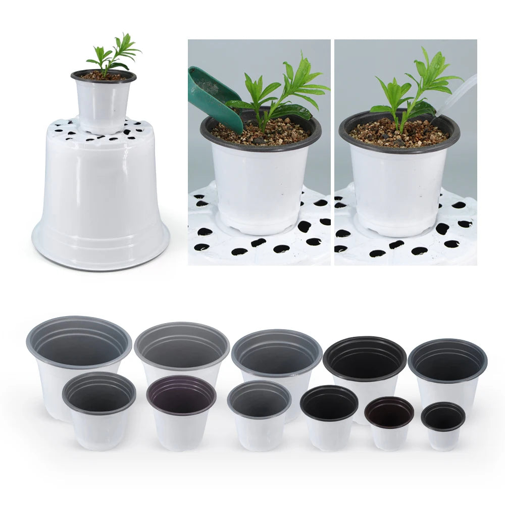 pot fleurs plastique blanc moderne petit jardin plante succulente semis terre décoration intérieur