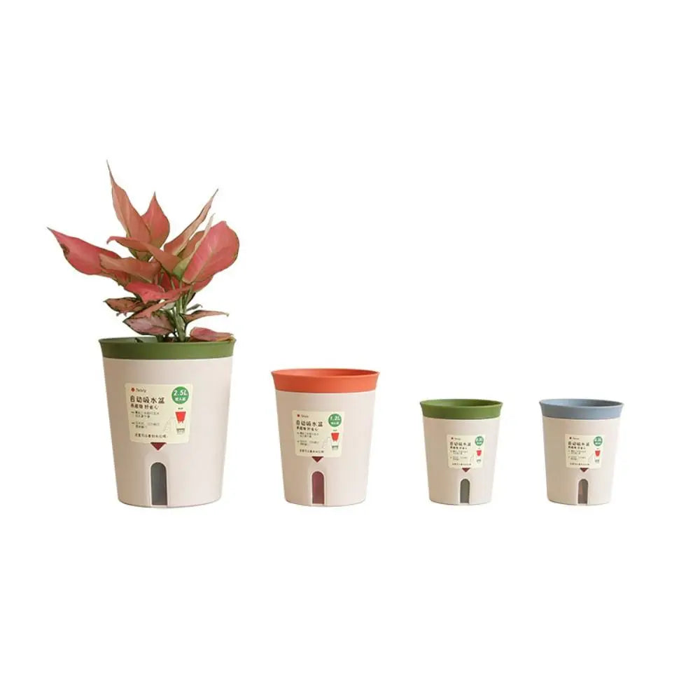 pot plante hydroponique succulente moderne orange gris vert marron minimaliste auto arrosage salon