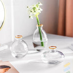vases transparent modernes verre simple minimalistes bleu vert fleurs plantes