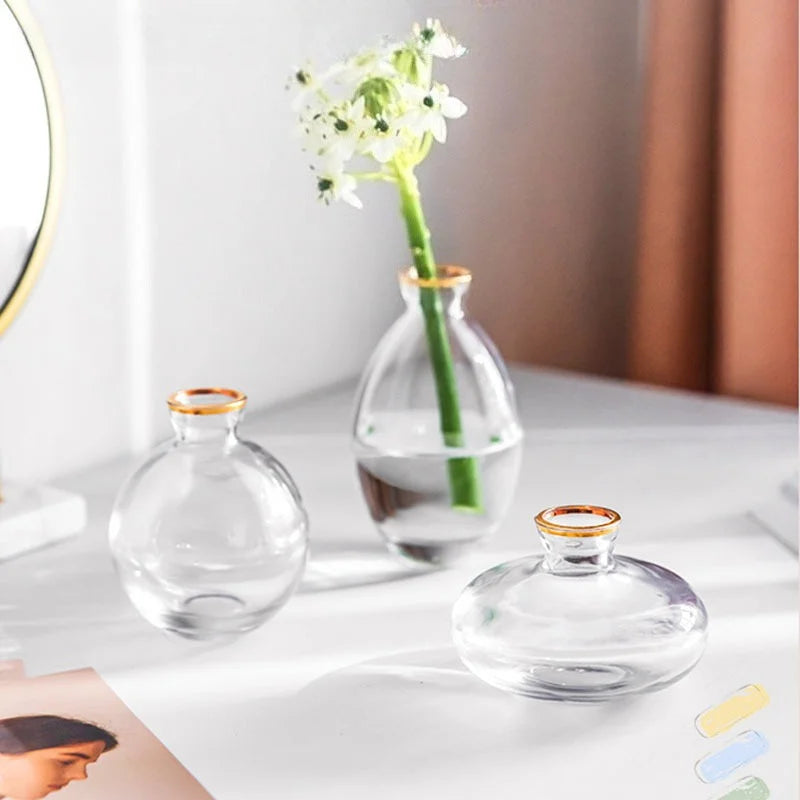 vases transparent modernes verre simple minimalistes bleu vert fleurs plantes