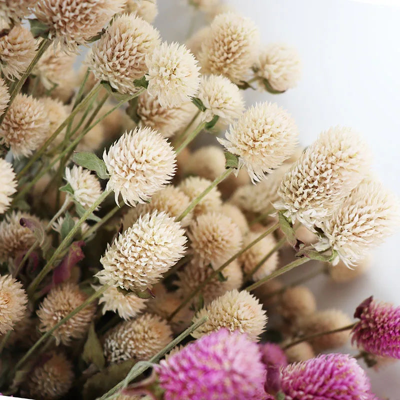 bouquet fleurs séchées violettes blanches naturel rustique décoration intérieur