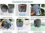 Pot plante auto arrosant gris moderne base transparente drainage fenêtre niveau eau inlet