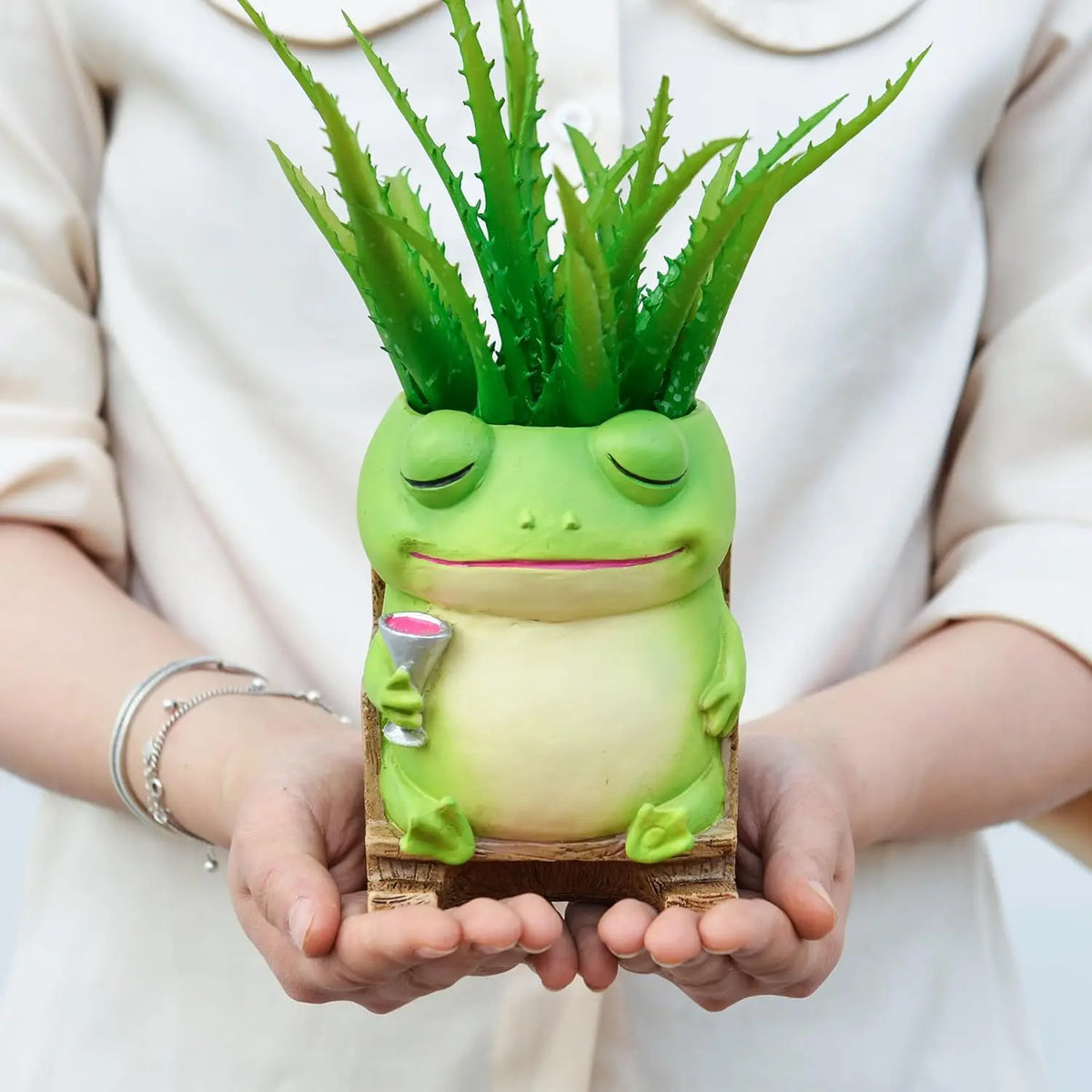 pot résine forme grenouille verte plante grimpante rocking chair décoration zen maison jardin fleuri