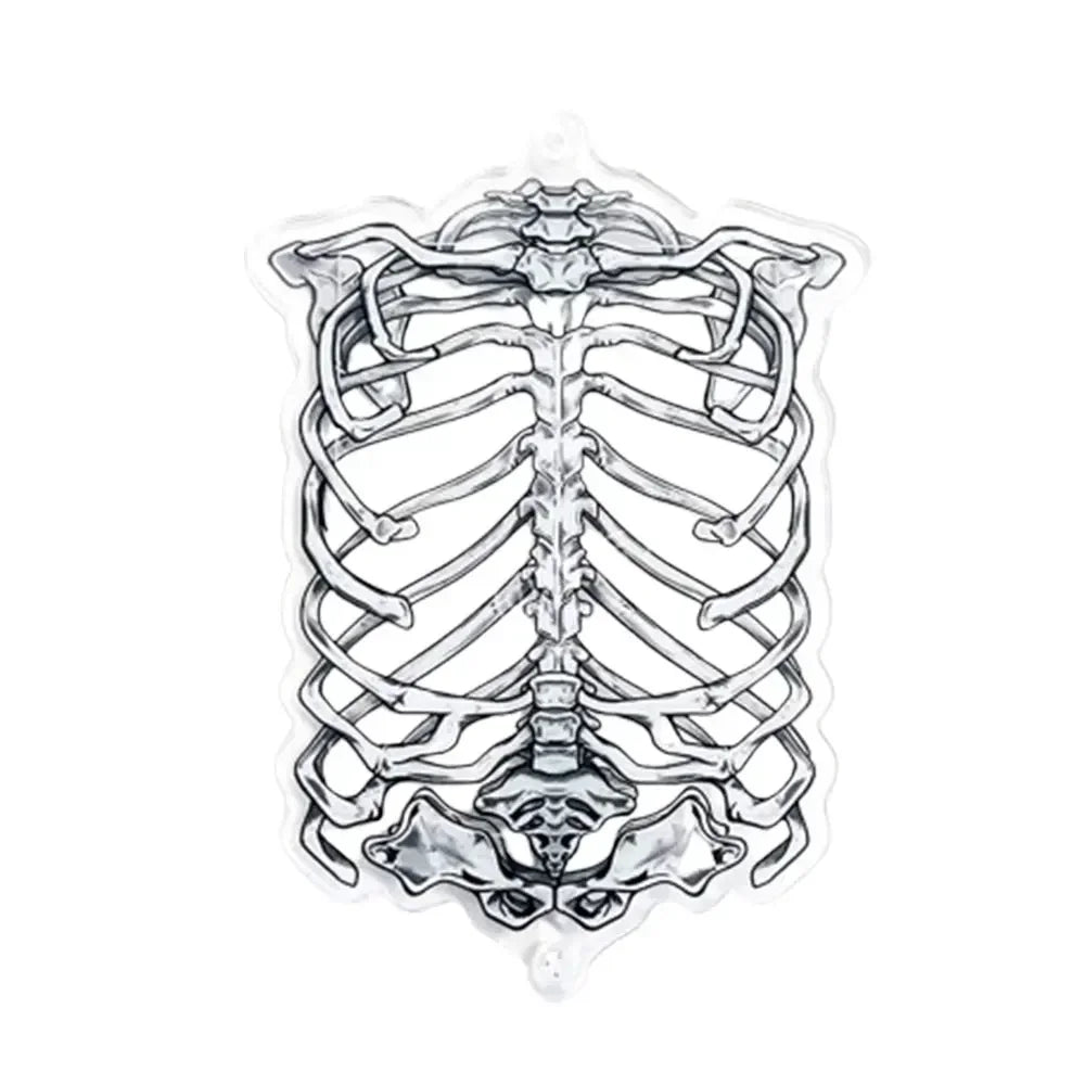 cadre photo squelette humain noir transparent osseux anatomique irregulier plastique erotique gothique erotique erotique
