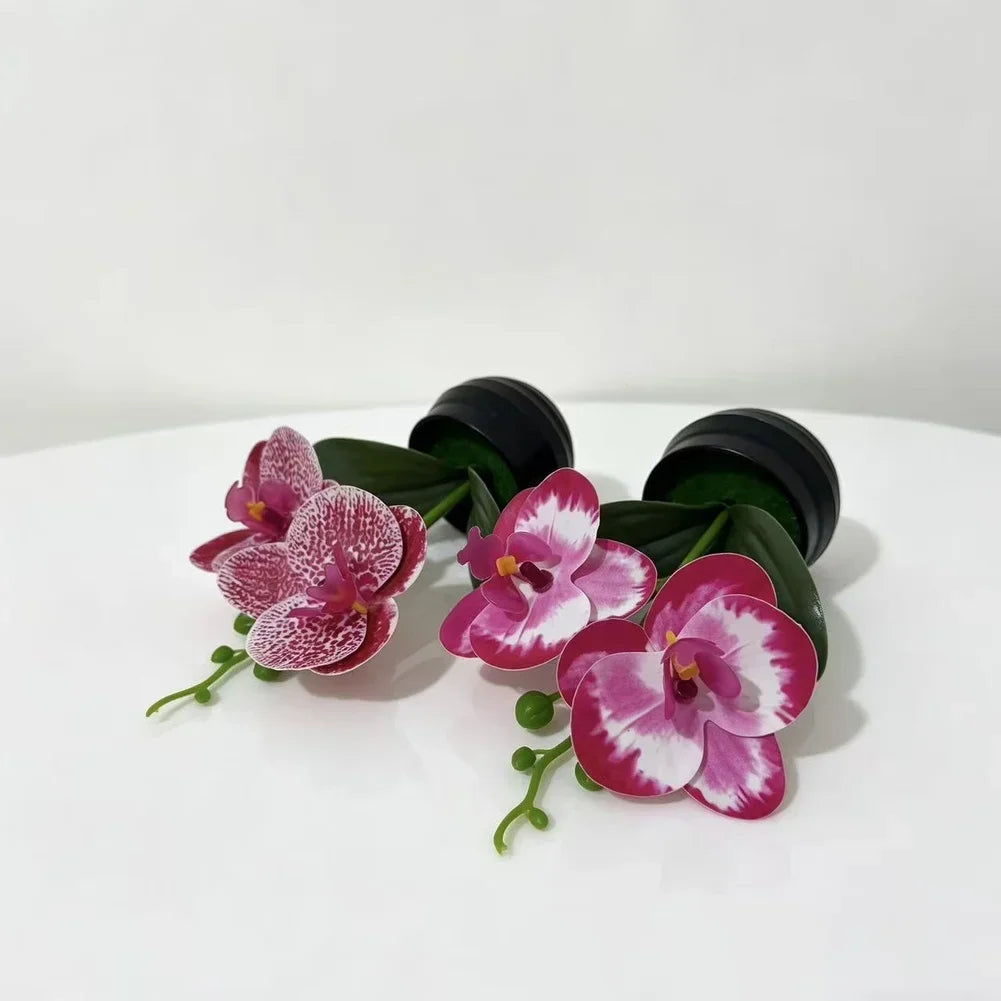 décoration intérieure orchidées artificielles violettes blanches vertes moderne pot noir