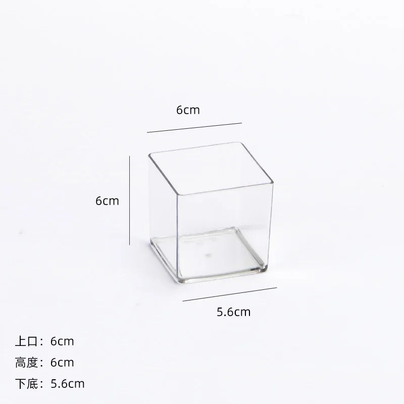 cube transparent moderne vase hydroponie plante verte sans motif minimaliste récipient acrylique