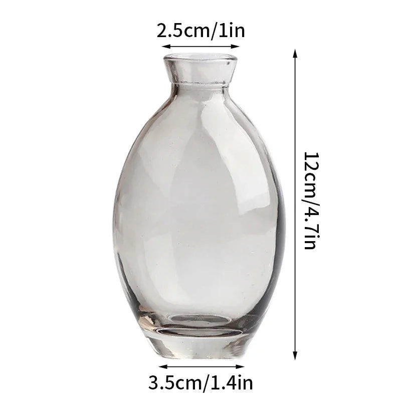vase verre transparent moderne rose décoration intérieur hydroponique fleuri table studio
