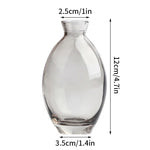 vase verre transparent moderne rose décoration intérieur hydroponique fleuri table studio