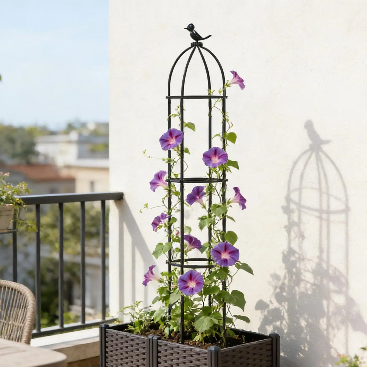 treillis métallique noir plantes grimpantes extérieur intérieur jasmin clematis concombre jardins balcon verte