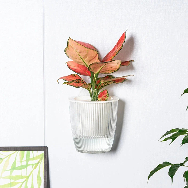 pots fleurs muraux modernes semi transparents couleurs vives motif riblé fixations murales plante décoration