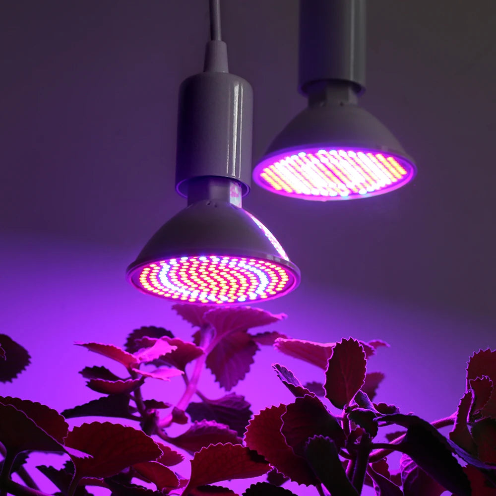 ampoule led croissance plante blanche violette rouge bleu e27 moderne 92x80mm