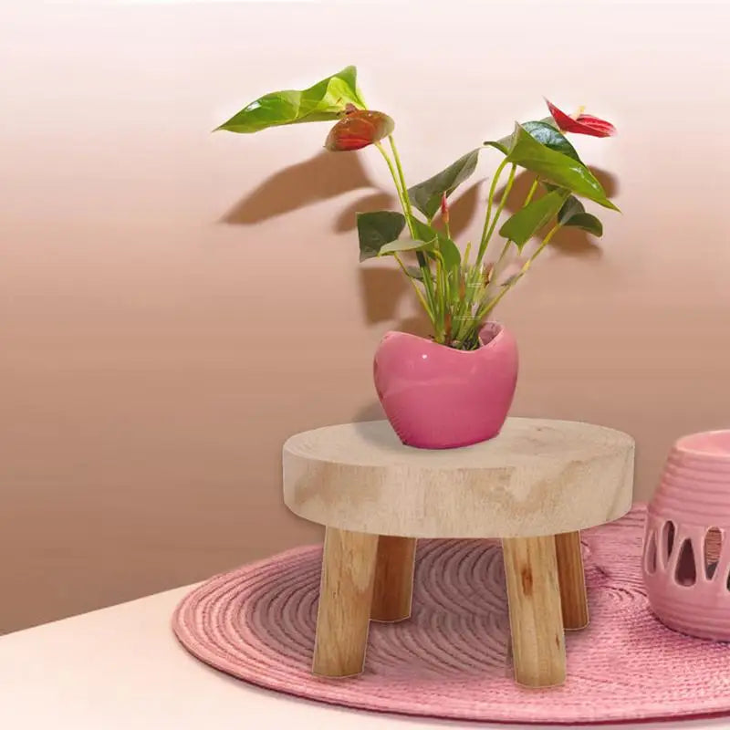 Etagere decorative en bois avec succulentes en interieur