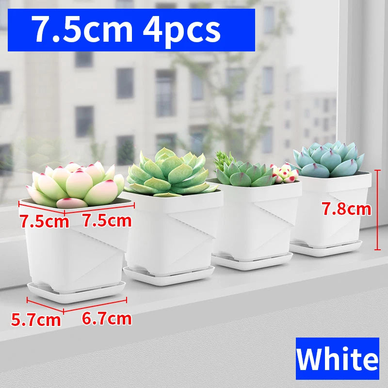 petit pot fleurs blanc plastique moderne cactus succulentes plateau intégré