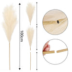 décoration mariage boho herbe pampas artificielle 100cm plumes séchées naturel rustique intérieur anniversaire