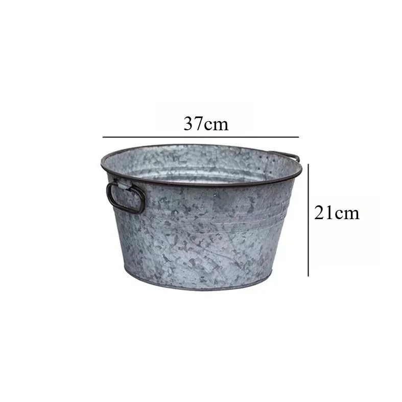 seau métal vintage anses rouille plante verte fleur blanche pot terre cuite brique rouge